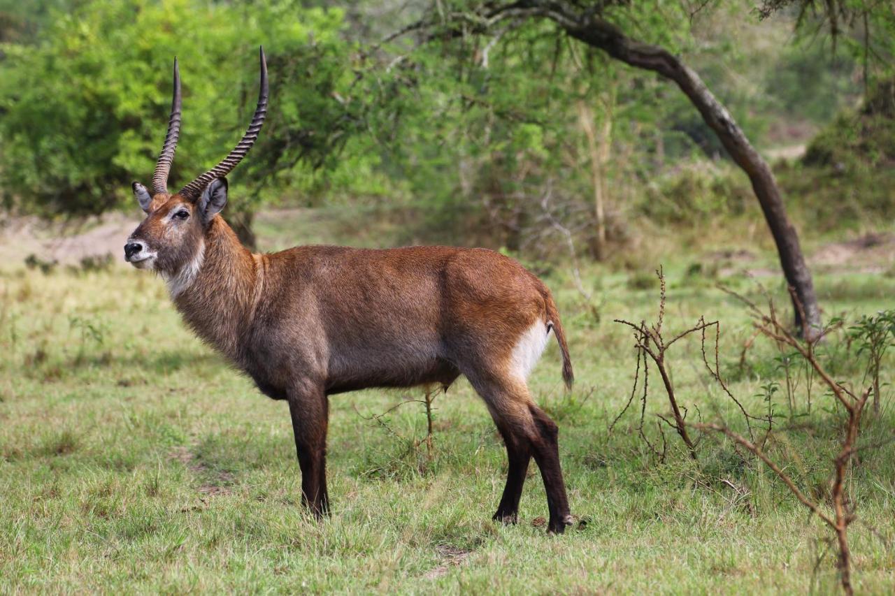 Hyena Hill Lodge Sanga Екстер'єр фото
